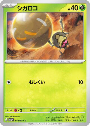 0013 Rellor Common Snow Hazard
