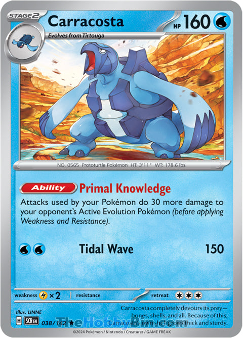 Carracosta #38/142 Rare - Stellar Crown Pokemon card