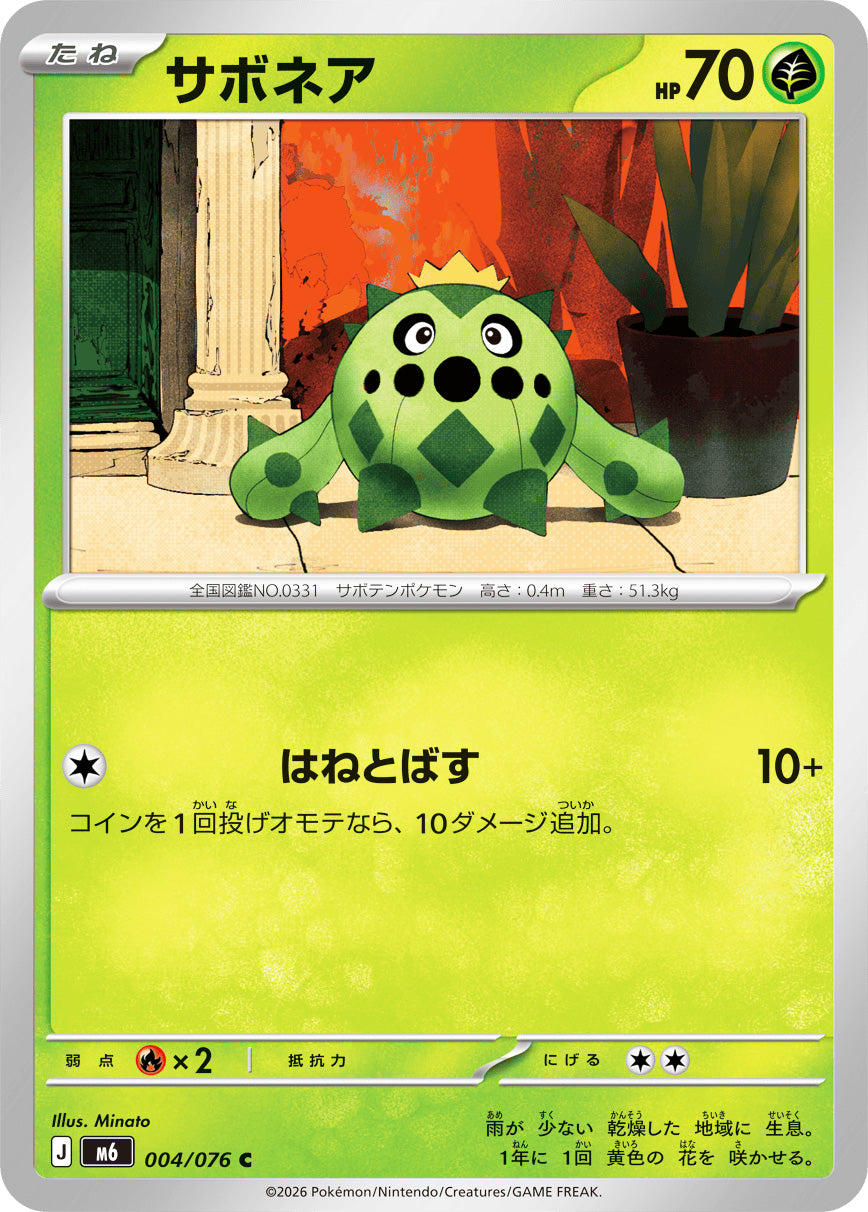 0004 Cacnea Common Storm Emeralda