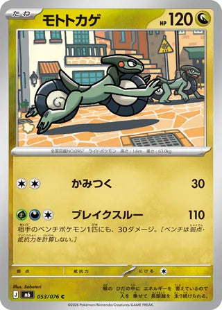 0053 Cyclizar Common Storm Emeralda