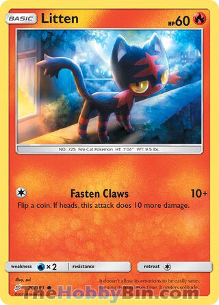 0020 Litten Common Team Up