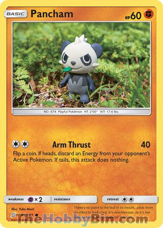 Pancham #81/181 Common - Team Up Pokemon card