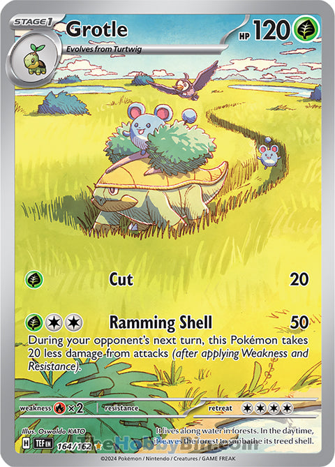 Grotle #164/162 Illustration Rare - Temporal Forces Pokemon card