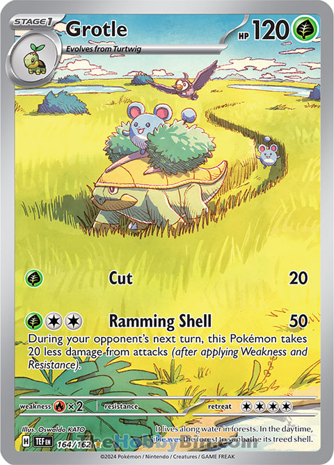 0164 Grotle Illustration Rare Temporal Forces
