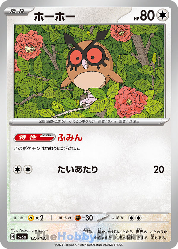 0127 Hoothoot Card Terastal Festival ex
