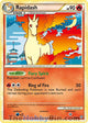 Rapidash H #8