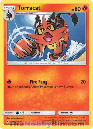 0028 Torracat Uncommon Unbroken Bonds