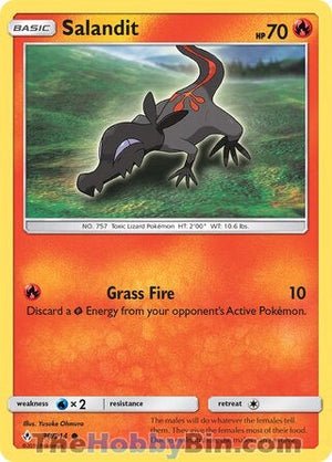 0030 Salandit Common Unbroken Bonds