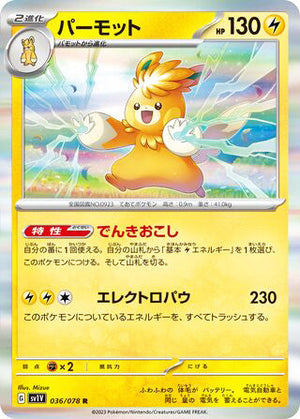0036 Pawmot Rare Violet ex
