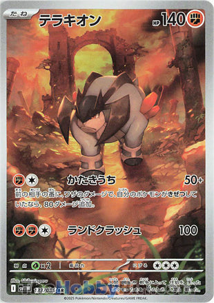 Terrakion #133 Art Rare - White Flare Japanese Pokemon card