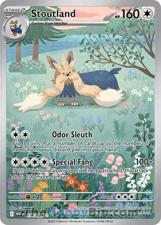 Stoutland White Flare English Illustration Rare #156/086