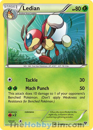 0007 Ledian Uncommon XY Base Set
