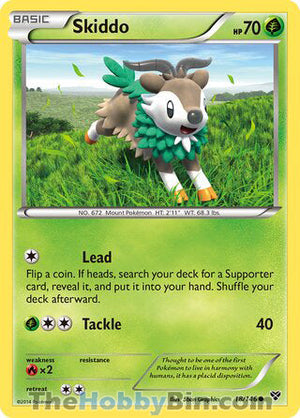0018 Skiddo Common XY Base Set