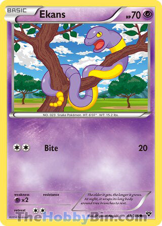 Ekans #47/146 Common - XY Base Set Pokemon card