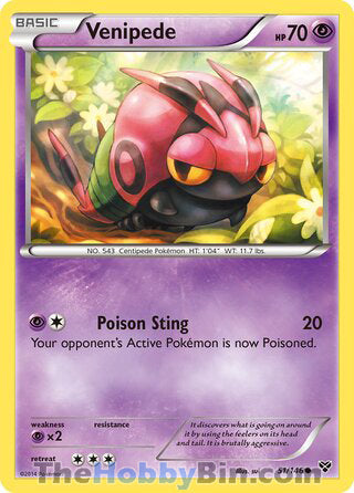 Venipede #51/146 Common - XY Base Set Pokemon card