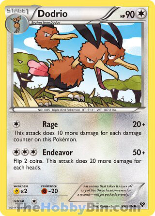 Dodrio #99/146 Uncommon - XY Base Set Pokemon card
