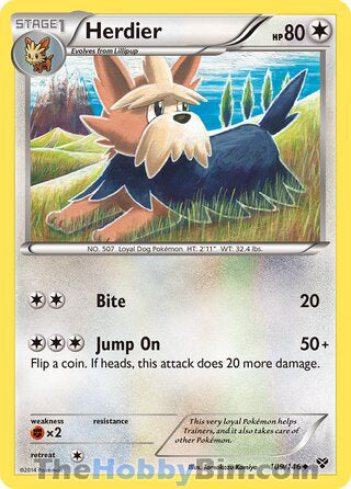 Herdier #109/146 Uncommon - XY Base Set Pokemon card
