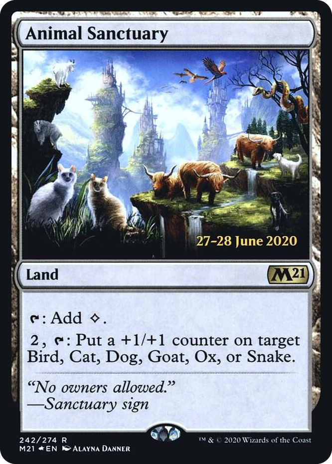 Animal Sanctuary #242 R - Prerelease Cards Pokemon card