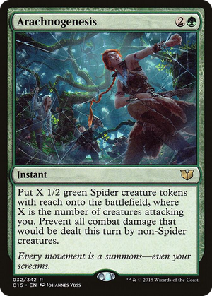0032 Arachnogenesis R Commander 2015