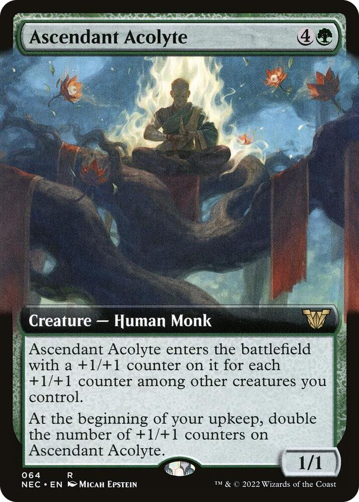 0064 Ascendant Acolyte (Extended Art) R Commander: Kamigawa: Neon Dynasty