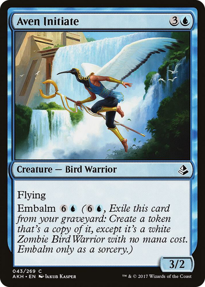 Aven Initiate #43 C - Amonkhet Pokemon card