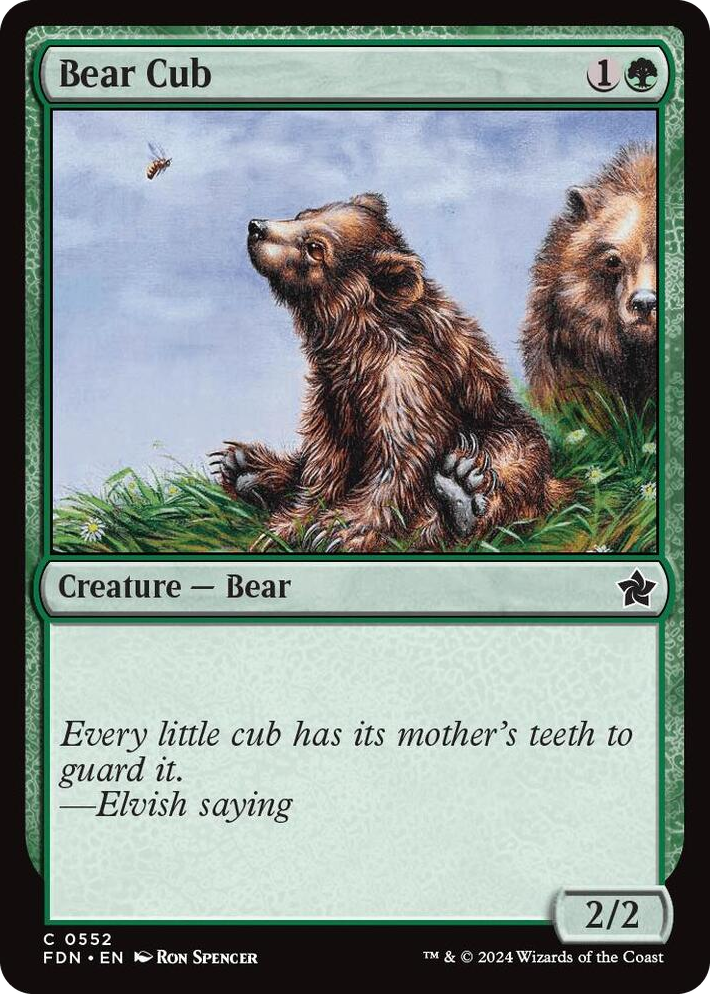 0552 Bear Cub C Foundations