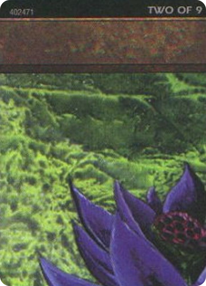 0001 Black Lotus (2 of 9) (Ultra Pro Puzzle Quest) S Media Promos