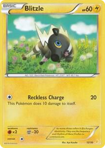 0012 Blitzle (12) Common XY Trainer Kit: Pikachu Libre & Suicune