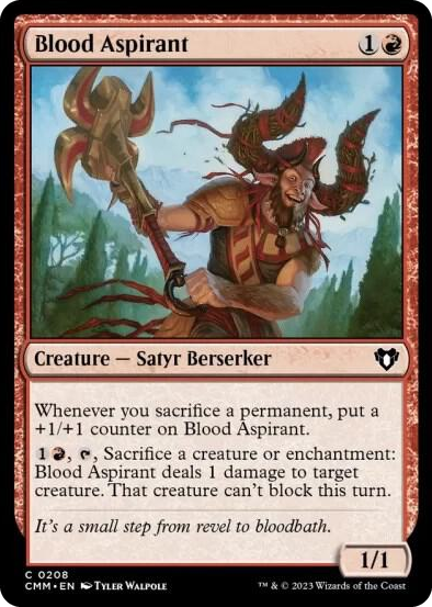 0208 Blood Aspirant C Commander Masters