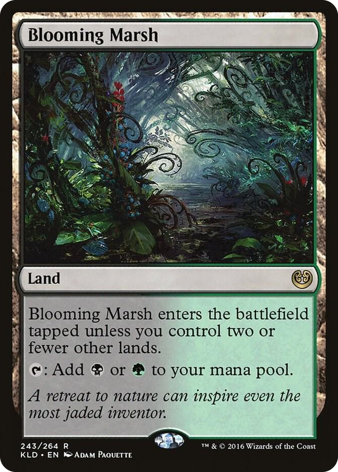 Blooming Marsh #243 R - Kaladesh Pokemon card