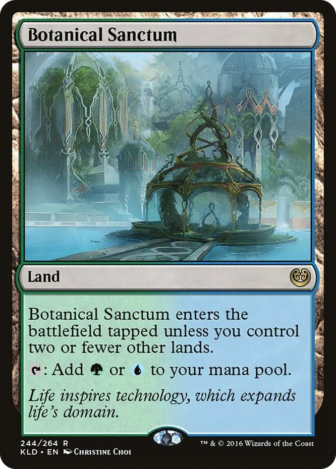 Botanical Sanctum #244 R - Kaladesh Pokemon card