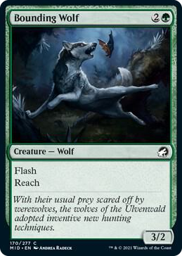 0170 Bounding Wolf C Innistrad: Midnight Hunt