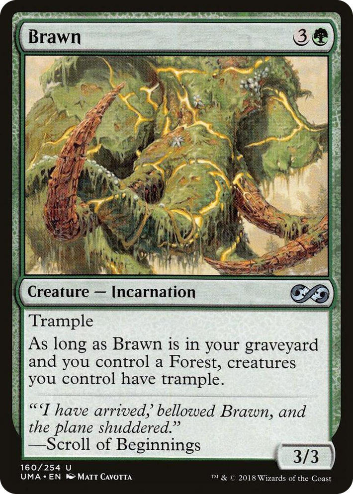0160 Brawn U Ultimate Masters