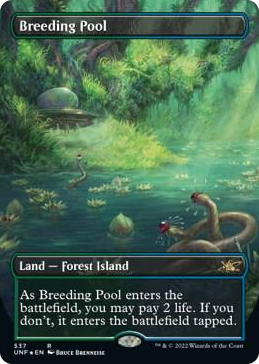 0537 Breeding Pool (Borderless) (Galaxy Foil) R Unfinity