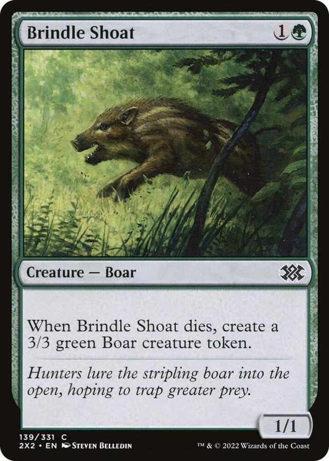0139 Brindle Shoat C Double Masters 2022