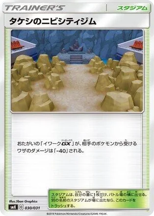 0030 Brock's Pewter City Gym Trainer Battle Decks