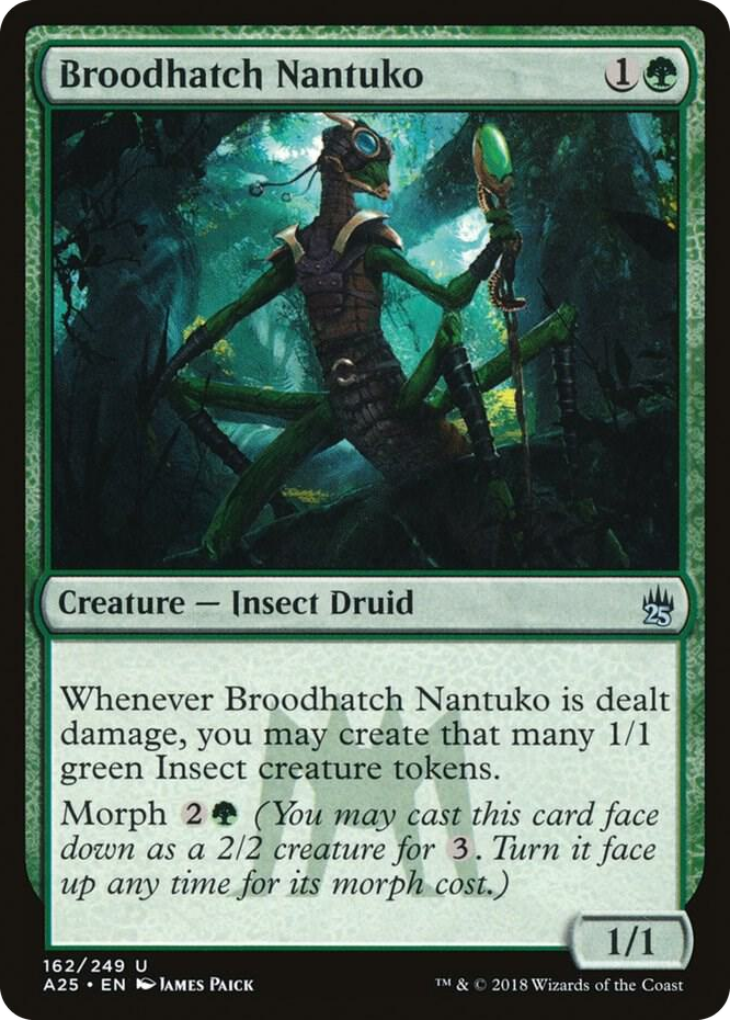 0162 Broodhatch Nantuko U Masters 25