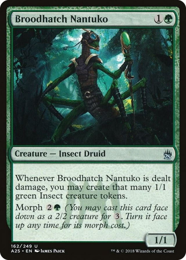 0162 Broodhatch Nantuko U Masters 25