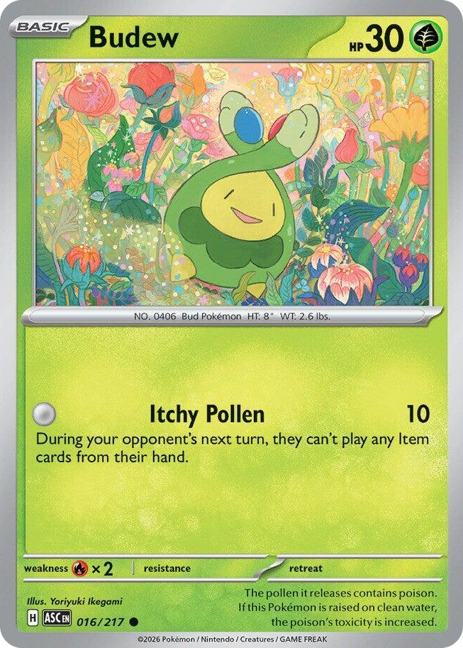0016 Budew Common Ascended Heroes