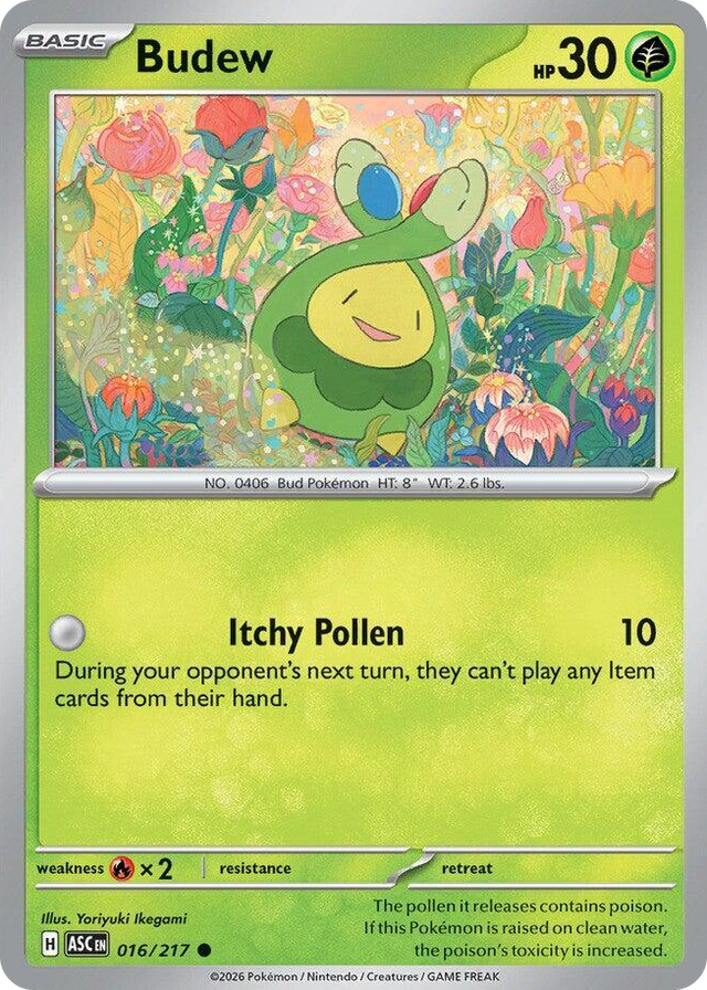 0016 Budew Common Ascended Heroes