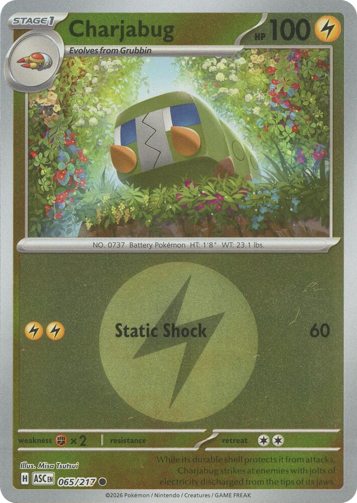 0065 Charjabug (Energy Symbol Pattern) Common Ascended Heroes