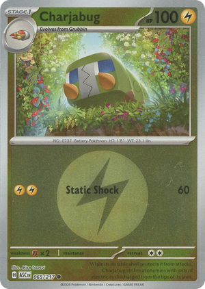 0065 Charjabug (Energy Symbol Pattern) Common Ascended Heroes