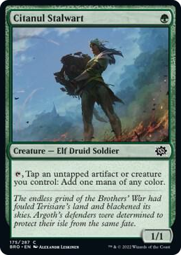 0175 Citanul Stalwart C The Brothers' War