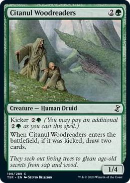 0199 Citanul Woodreaders C Time Spiral: Remastered