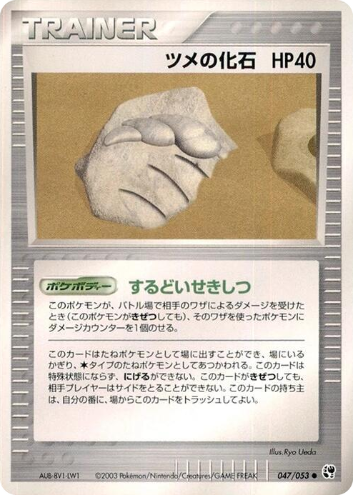0047 Claw Fossil Common Miracle of the Desert