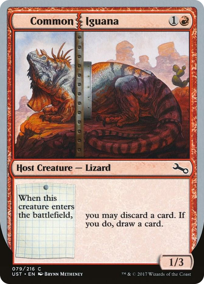 0079 Common Iguana C Unstable