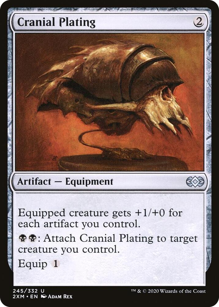0245 Cranial Plating U Double Masters