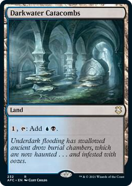 0232 Darkwater Catacombs R Commander: Adventures in the Forgotten Realms