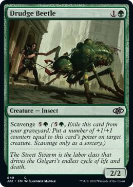 0649 Drudge Beetle C Jumpstart 2022