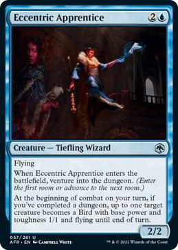 0057 Eccentric Apprentice U Adventures in the Forgotten Realms